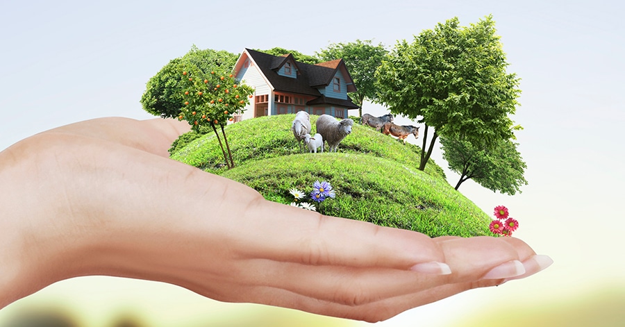 Home Insurance