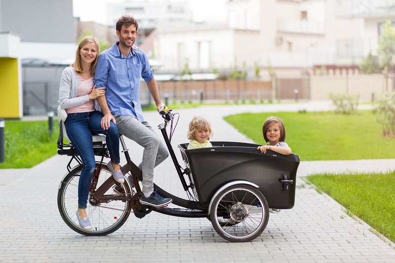 Electric Cargo Tricycle