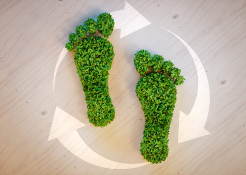 eco friendly lifestyle