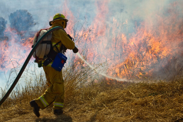 Wildland Firefighter