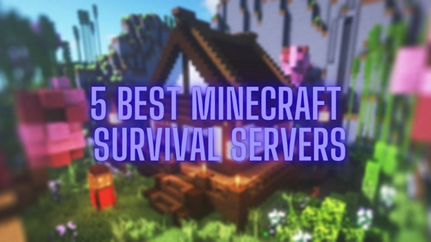 Minecraft Survival Servers