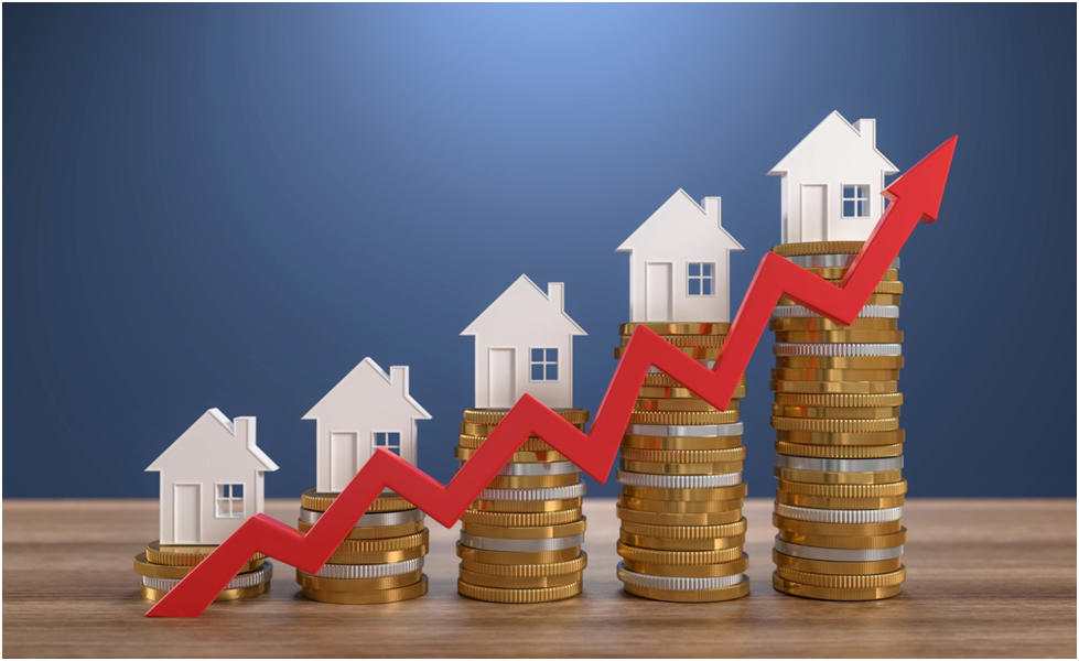 Real Estate Investment