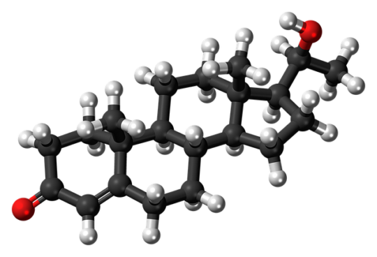 impacts of steroids on teens