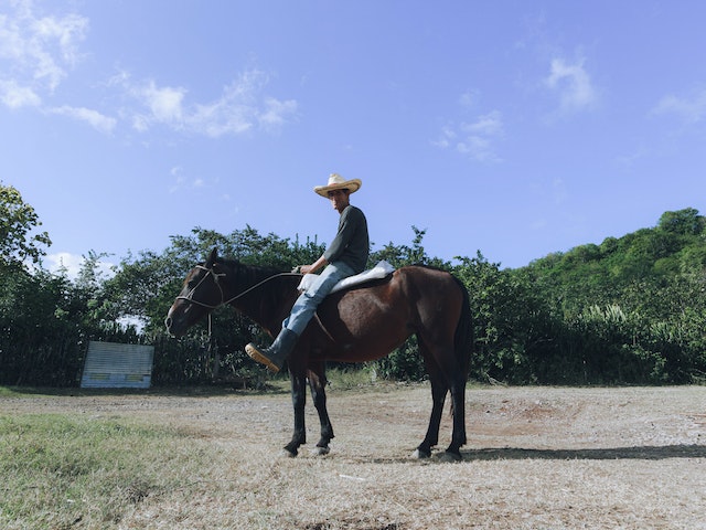 Common Horseback Riding Mistakes