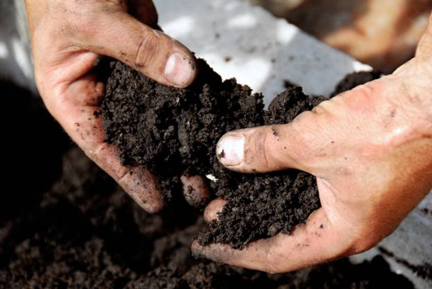 Yard Fertilizer