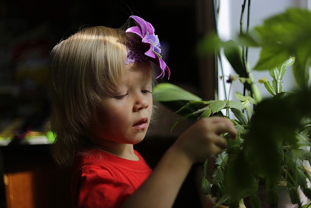 Childproof Your Doors and Windows