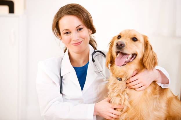 Pet Clinic Visit