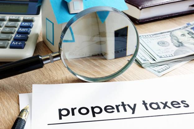 Property Tax Consultant