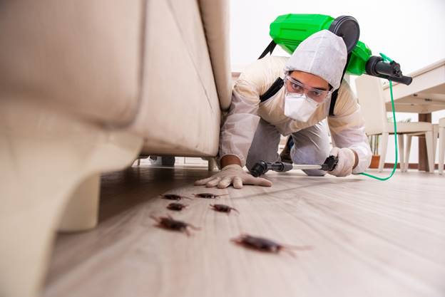 Pest Control Guide