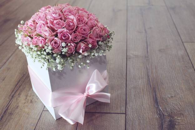 Beautiful Roses
