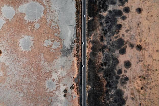 Mold Damage