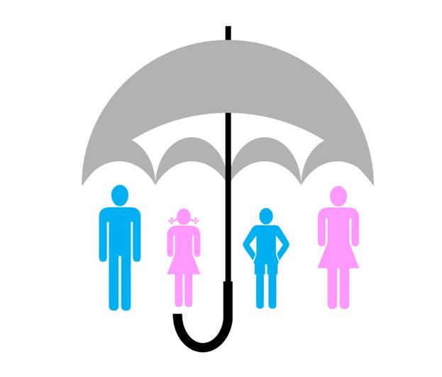 Florida Insurance News