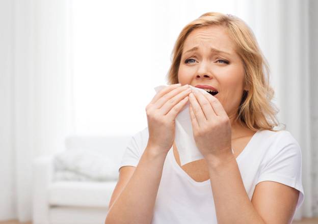 Indoor Air Quality Services