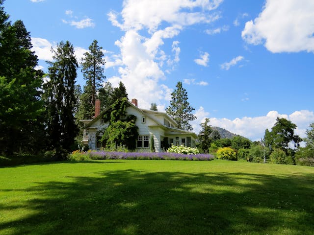 Affordable Lawn Care Services