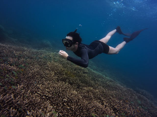 Snorkeling