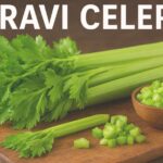 Pravi Celer