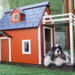 Dog Kennel