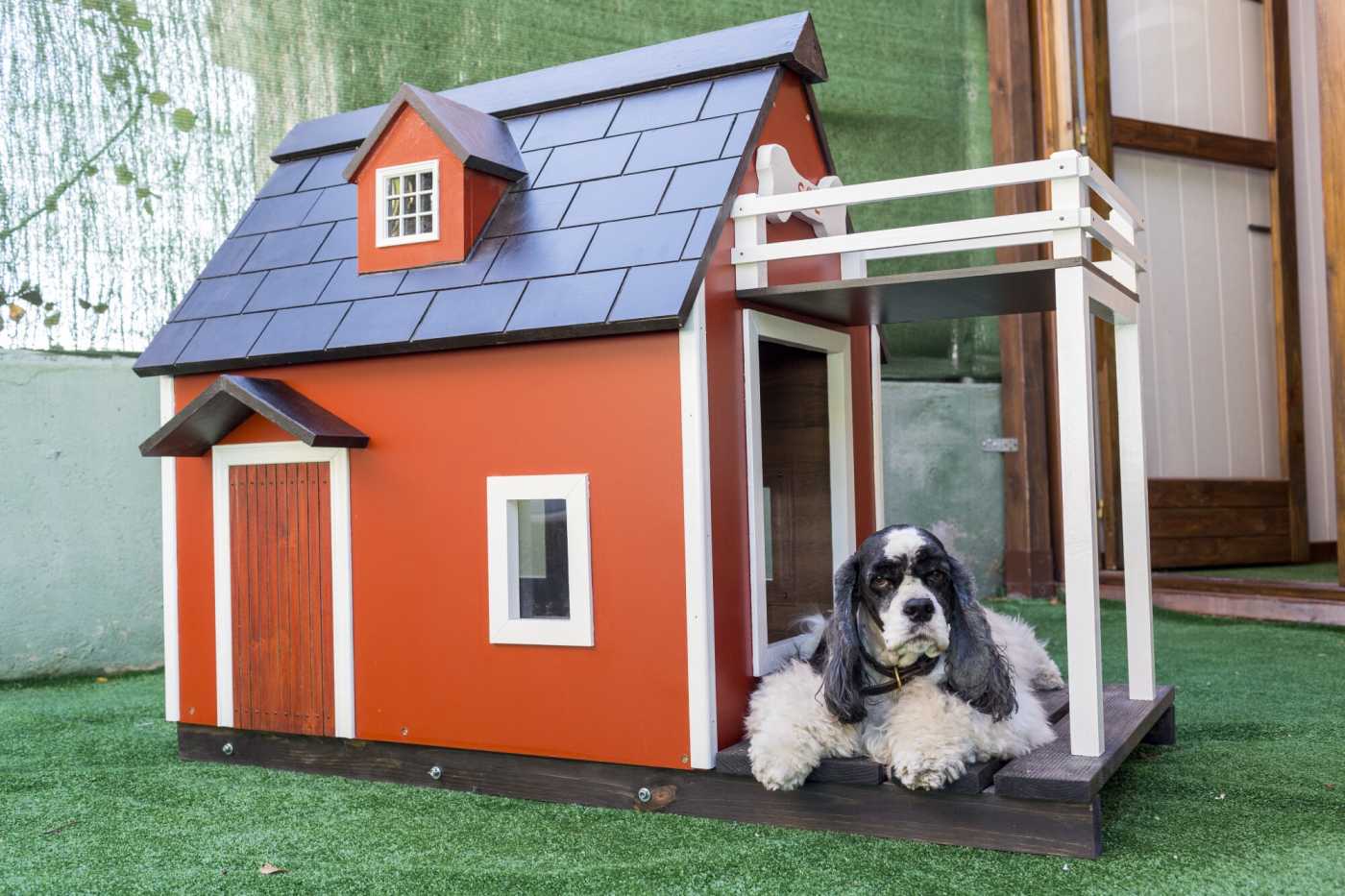Dog Kennel