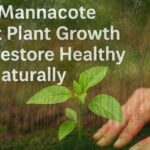 Mannacote