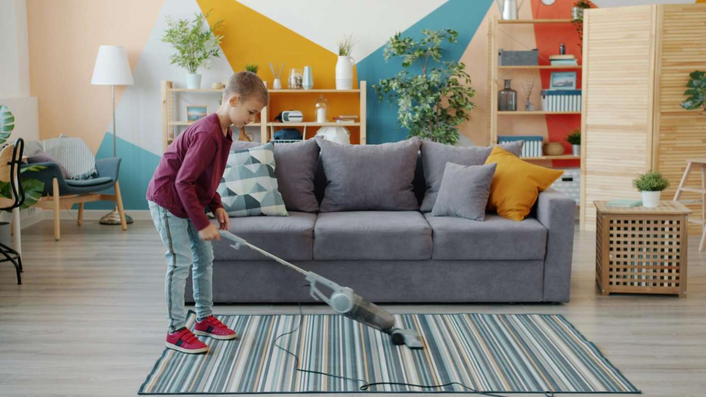 Professional House Cleaning