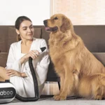 Pet grooming Tips