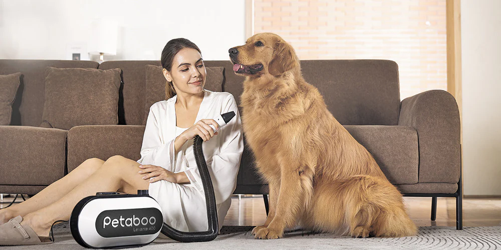 Pet grooming Tips